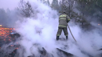 Крупный лесной пожар в Павлодарской области удалось локализовать