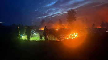 Площадь пожара в Павлодарской области продолжает расти
