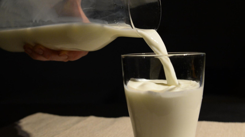 Парадокс: производство молока в Казахстане растет вместе с импортозависимостью