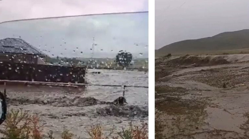 Дворы и дорогу затопило в Алматинской области