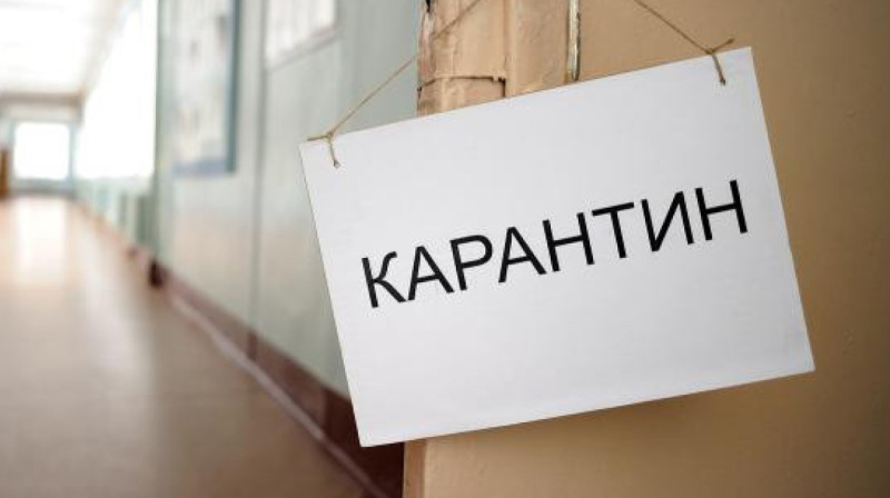Карантин ввели в Актюбинской области из-за выявления бешенства