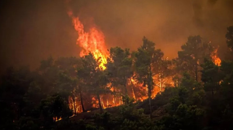 Лесные пожары вышли из-под контроля на острове Родос, начата крупнейшая в истории эвакуация жителей