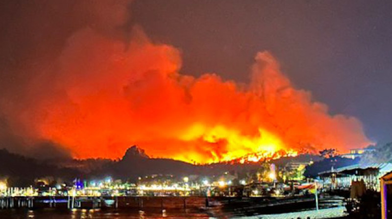 В одном из городов Турции начался лесной пожар