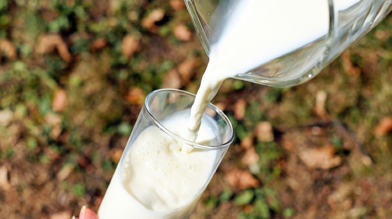 Казахстан ограничил ввоз молочной продукции 5 производителям из России