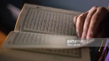 В Дании и Швеции могут запретить сжигание Корана