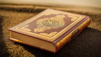В Швеции в очередной раз сожгли Коран