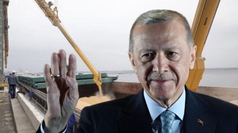 Эрдоган хочет возобновить и «расширить» зерновую сделку