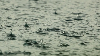 Проливные дожди затопили несколько поселков Жетысуской области