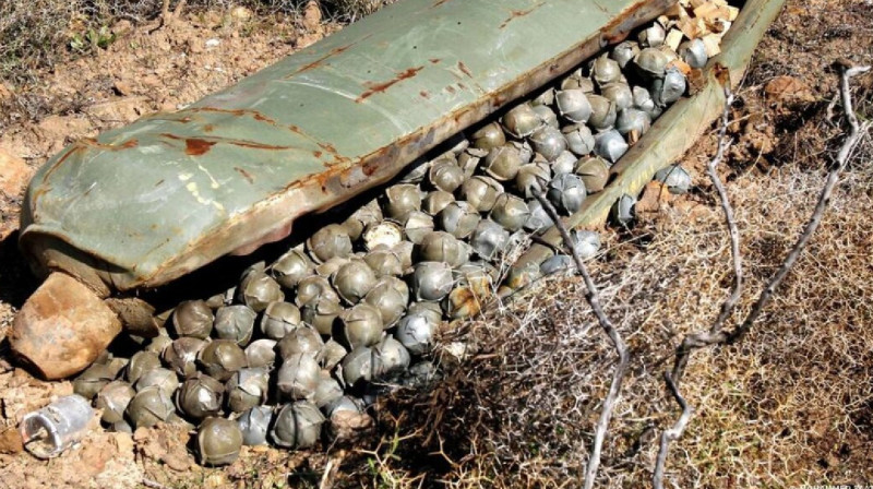 Киев ұзақ қашықтағы кассеталы снарядтар алуы мүмкін