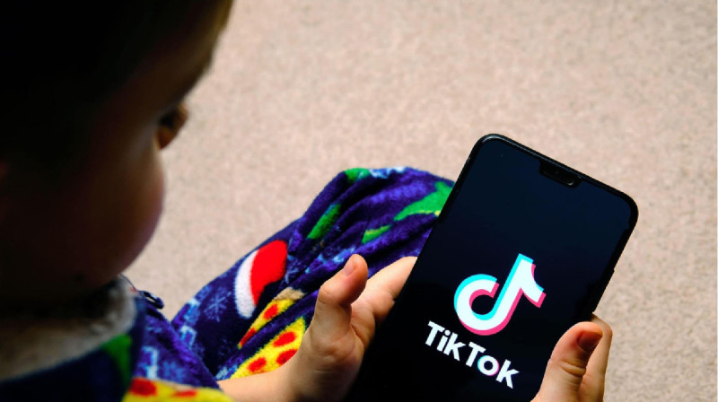 Қырғызстан TikTok желісін бұғаттайтын болды