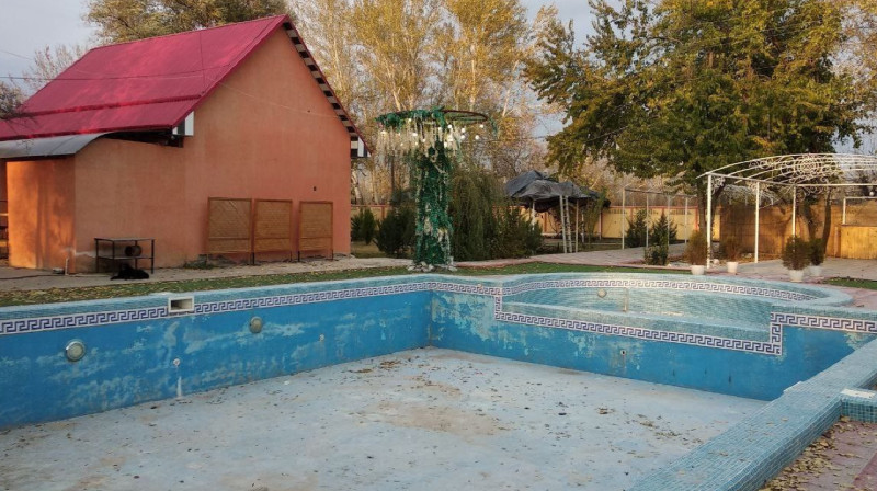 40 га деревьев уничтожили бизнесмены-арендаторы участков в нацпарке Узбекистана