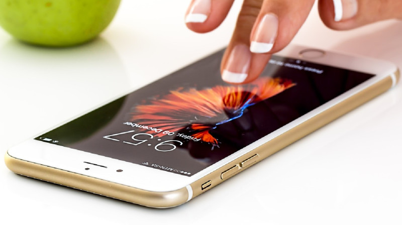 Enbek мобильді қосымшасында грант алуды рәсімдеуге болады