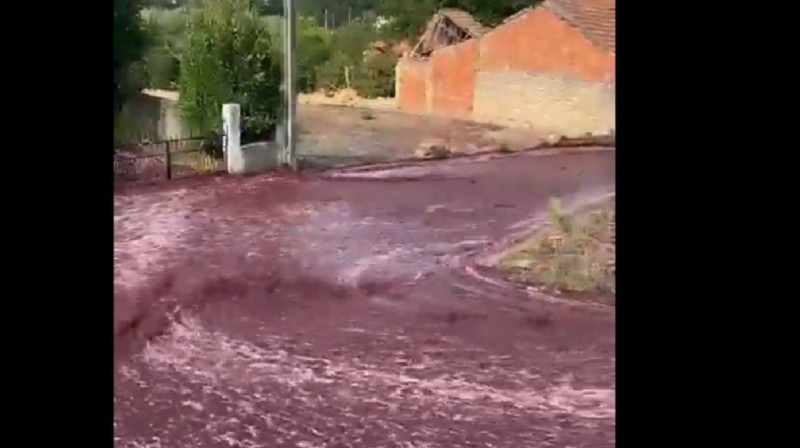 Португалия көшесінде ызыл шарап сай-саладан ағып жатыр