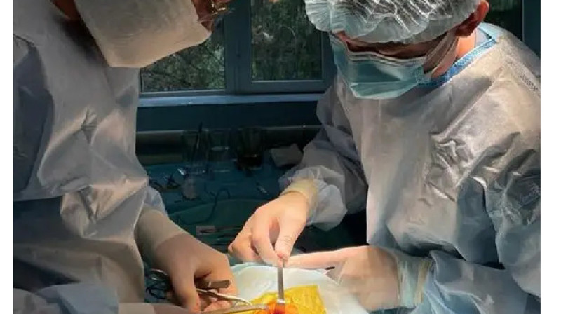 Бүлдіршіннің өңешіндегі жыланкөзді емдеп жазды