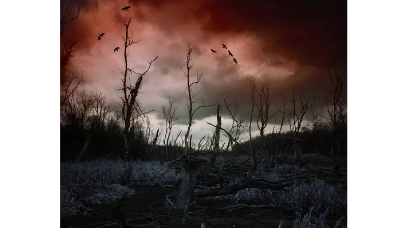 Қарқаралы орманынан жоғалған әйелдің денесі табылды