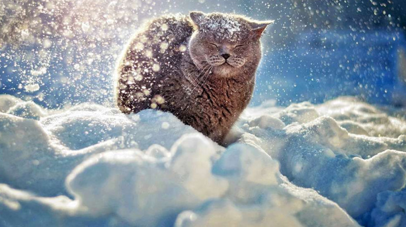 Первый снег в ВКО: зима пришла раньше срока