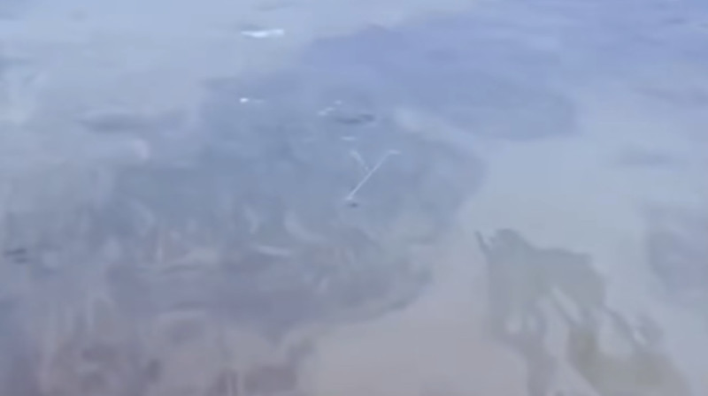 «Воды нет»: высыхающий Каспий показали с высоты птичьего полета