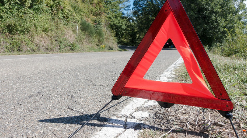 Нарынқолда 6 оқушыны көлік қағып кетті