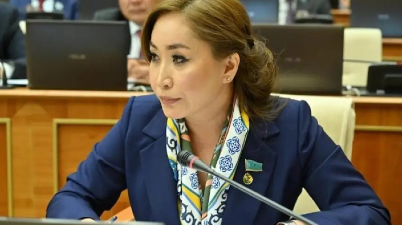 Қарақат Әбден: Әйелдер лауазымды қызметке неге сирек тағайындалады