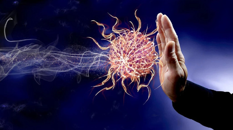 Ресейдегі соғысты жақтайтын публицистерге шошқаның басын лақтырған