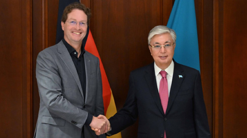 Токаев обсудил перспективы сотрудничества с главой Mercedes-Benz Group