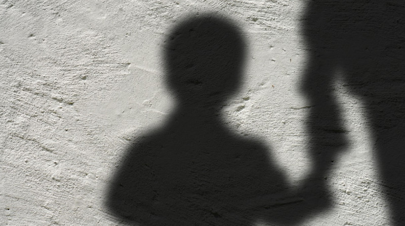 Алматыда жекеменшік мектепте 1-сыныптың оқушысын зорлаған