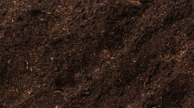 Өлтіріп, есік алдына жерлеген — Павлодар