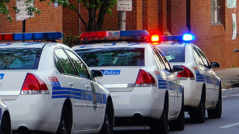 Неизвестные избили инспектора Иле-Алатауского национального парка