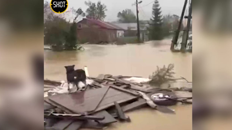 Потоп в Южно-Сахалинске: введен режим ЧС