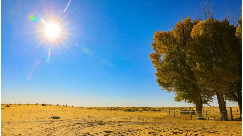 Ветер засыпает село песком в Актюбинской области