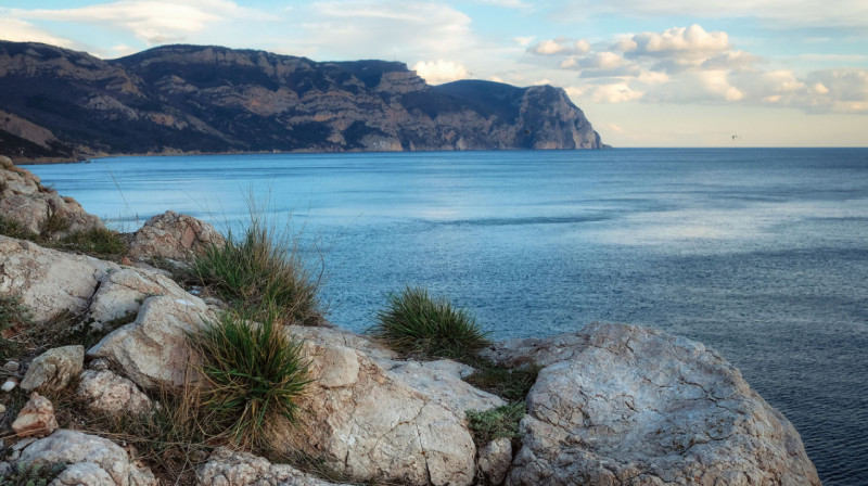 Землетрясение магнитудой 4,4 произошло около Алматы