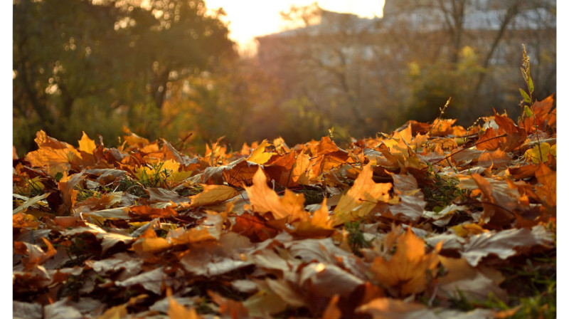 Какая погода ожидает казахстанцев в ближайшие три дня