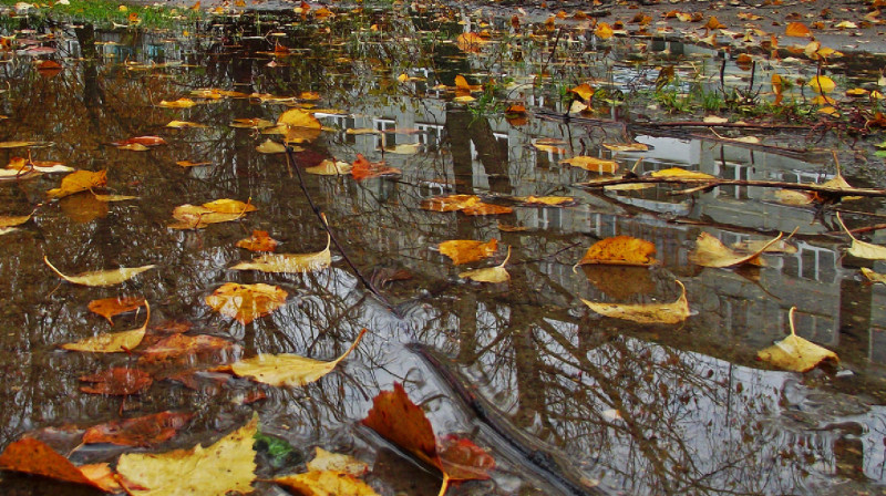 Гололед и туман ожидается в Казахстане, в Алматы - тепло