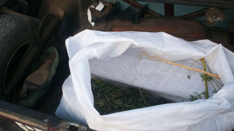 С помощью камер выявили употреблявшего наркотики водителя в Туркестане