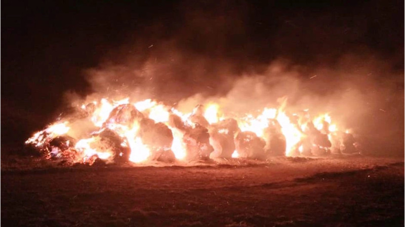 Более 100 тонн сена сгорело в одном из сёл ВКО
