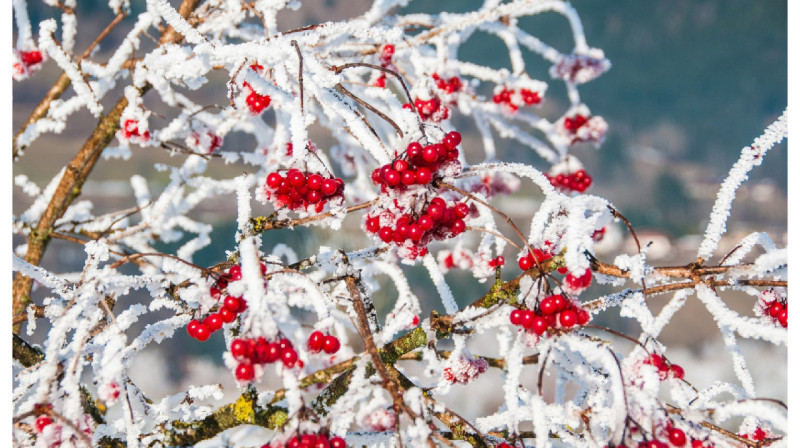Когда наступит зима в Казахстане