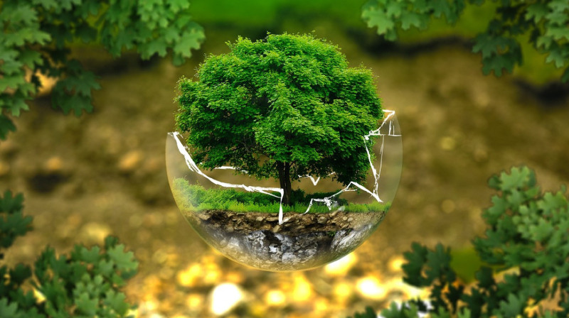 Восемь микрозаповедников создадут в Кыргызстане