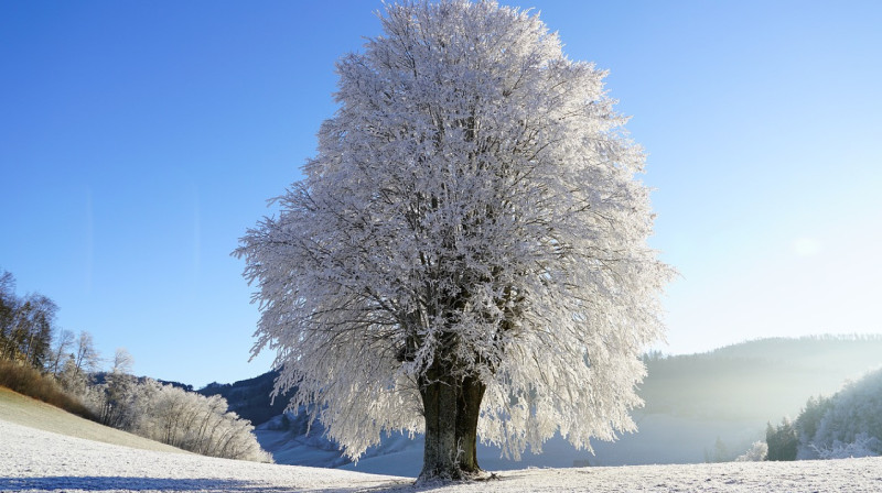 Все дороги республиканского значения открыты - КазАвтоЖол