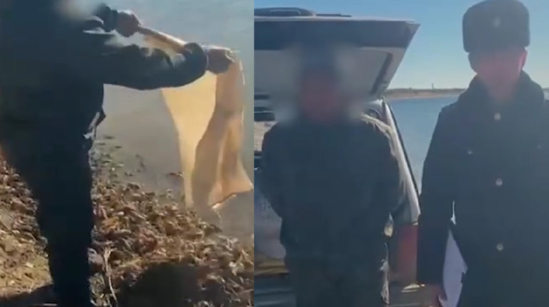 Более 230 килограммов живых раков изъяли у автомобилиста на Бухтарминском водохранилище
