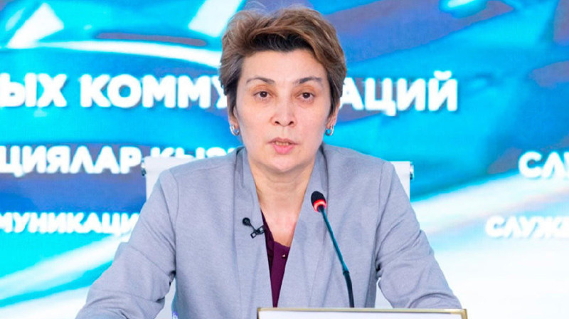 Главный санврач Казахстана прокомментировала гибель детей после обработки квартиры от клопов в Актау