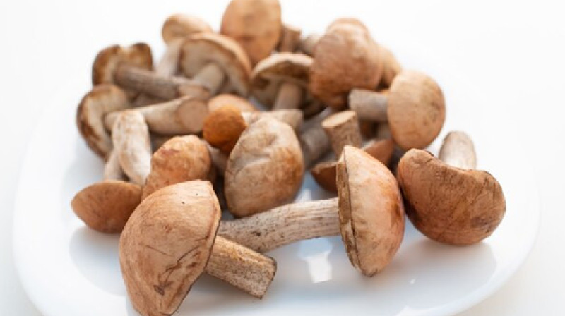 У казахов обнаружена генетическая непереносимость грибов