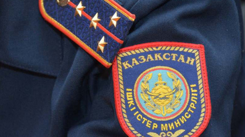 Жителя Павлодара накажут за избиение сына в парке