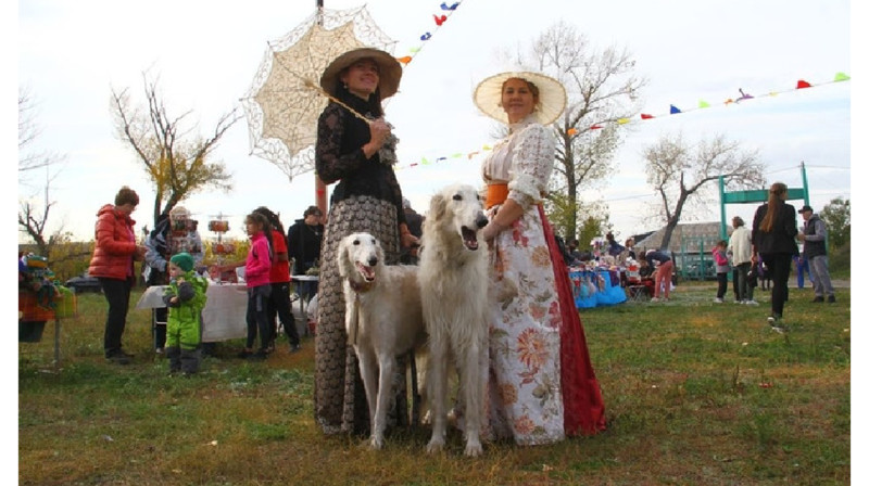 Зрелищный дог-фест прошел в ВКО
