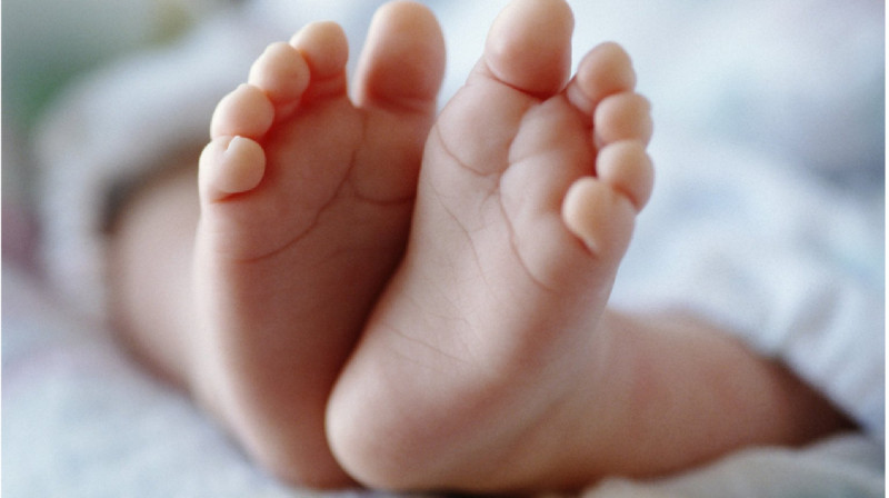 Младенца продали медики в Жамбылской области