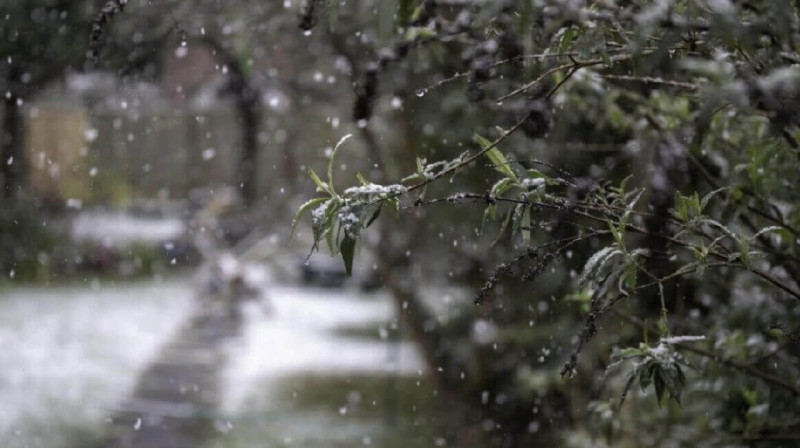 В 11 областях страны объявлено штормовое предупреждение