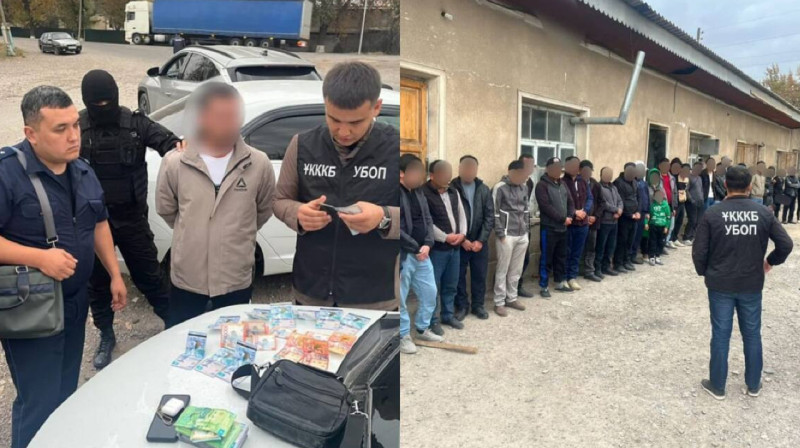 Казахстанец организовал незаконный канал миграции в Туркестанской области