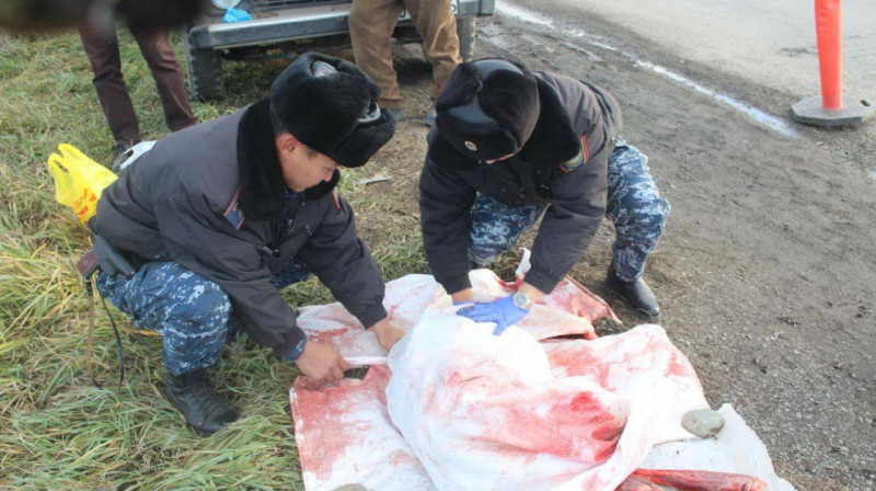 Мужчину задержали за отстрел косуль в ВКО