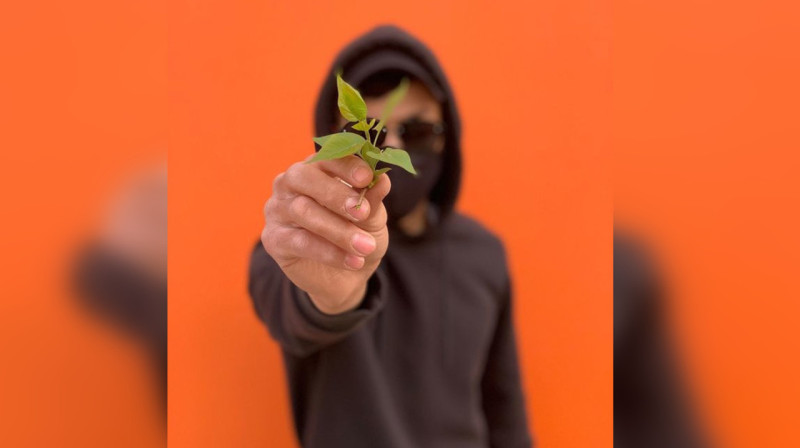 Человек в маске подарил квартиру нуждающейся семье