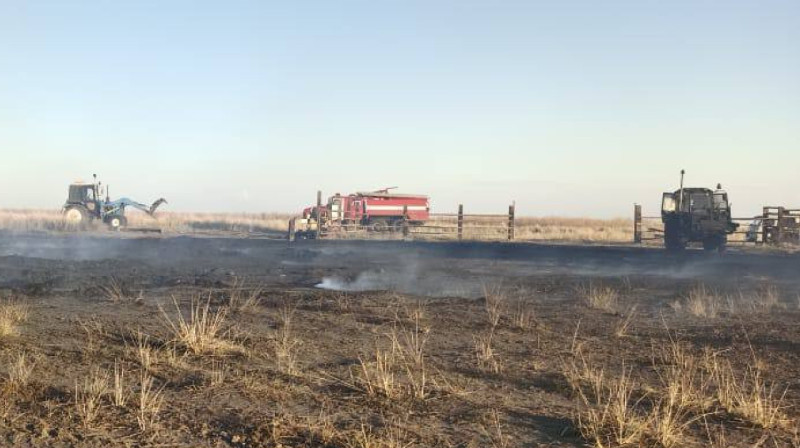 Дети сожгли 82 тонны сена в Абайской области