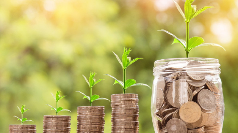 Девушка оформила кредиты на своих подруг в ВКО